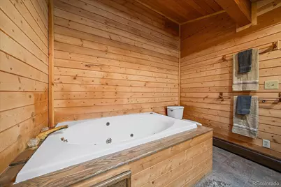 1385 Beaver Brook Canyon Road, Evergreen, CO 80439 - Photo 29