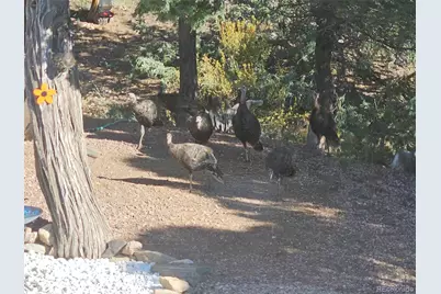 45 Knight Lane, Cotopaxi, CO 81223 - Photo 41