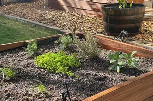 7364 W 98th Pl, Westminster, CO 80021 - Photo 41