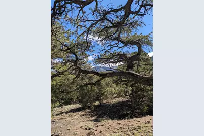 1814 Lobo Point, Crestone, CO 81131 - Photo 1