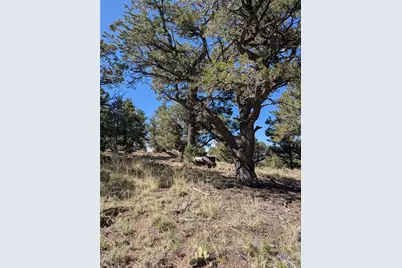 1814 Lobo Point, Crestone, CO 81131 - Photo 11