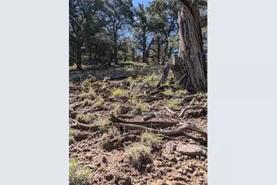 1814 Lobo Point, Crestone, CO 81131 - Photo 5