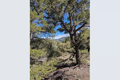 1814 Lobo Point, Crestone, CO 81131 - Photo 9