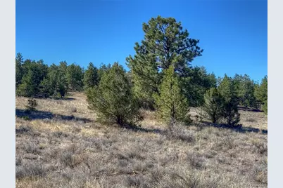 885 Crow Road, Westcliffe, CO 81252 - Photo 23