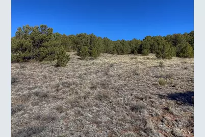 885 Crow Road, Westcliffe, CO 81252 - Photo 3