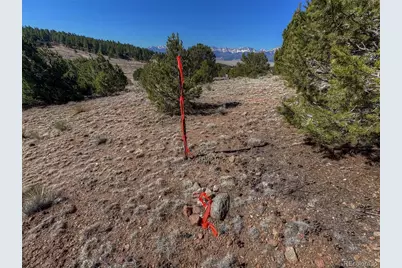 885 Crow Road, Westcliffe, CO 81252 - Photo 5