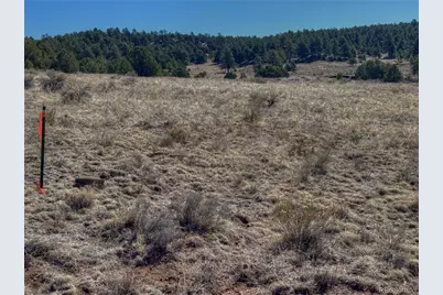 885 Crow Road, Westcliffe, CO 81252 - Photo 15