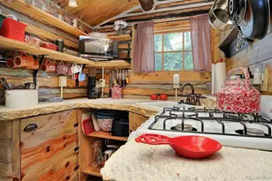 226 S San Juan Ave #6 and 7, Buena Vista, CO 81211 - Photo 13