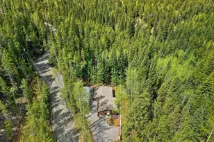 647 Old Little Bear Creek Rd, Idaho Springs, CO 80452 - Photo 29