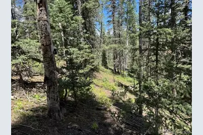 209 Kenosha Circle, Divide, CO 80814 - Photo 9