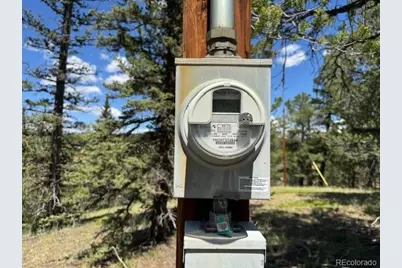209 Kenosha Circle, Divide, CO 80814 - Photo 13