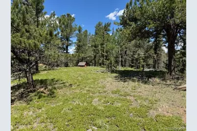 209 Kenosha Circle, Divide, CO 80814 - Photo 3