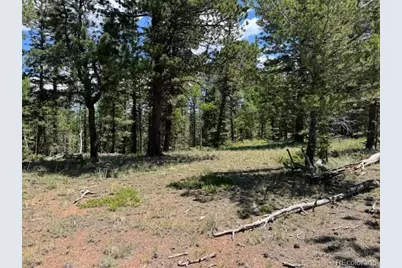 209 Kenosha Circle, Divide, CO 80814 - Photo 7