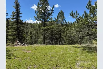 209 Kenosha Circle, Divide, CO 80814 - Photo 1