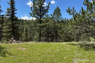 209 Kenosha Cir, Divide, CO 80814 - Photo 1