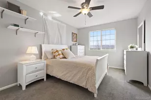 9809 Mulberry Way, Highlands Ranch, CO 80129 - Photo 27