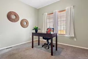 9809 Mulberry Way, Highlands Ranch, CO 80129 - Photo 19