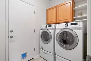 9809 Mulberry Way, Highlands Ranch, CO 80129 - Photo 21