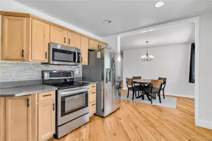 3435 S Raleigh St, Denver, CO 80236 - Photo 9