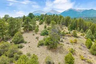 13600 Co Rd 251, Salida, CO 81201 - Photo 43