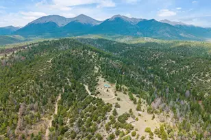 13600 Co Rd 251, Salida, CO 81201 - Photo 39