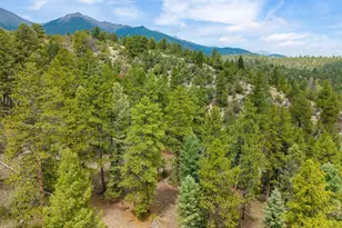 13600 Co Rd 251, Salida, CO 81201 - Photo 41