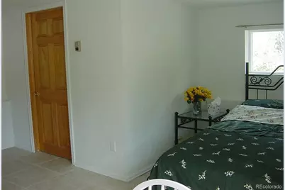 409 E Park Avenue, Empire, CO 80438 - Photo 21