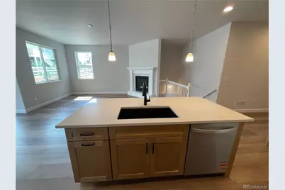 1993 Spencer Avenue, Castle Rock, CO 80104 - Photo 19