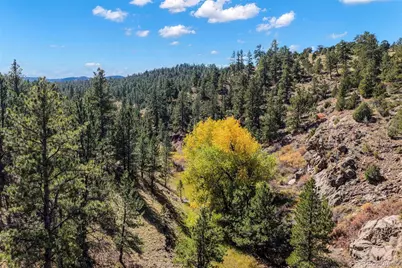 838 County Road 260, Westcliffe, CO 81252 - Photo 13