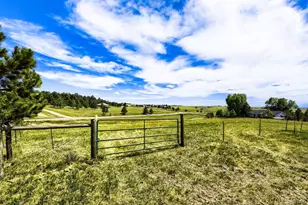 11783 Pine Meadows Dr, Kiowa, CO 80117 - Photo 7