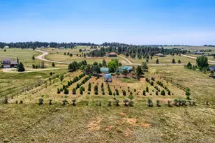 11783 Pine Meadows Dr, Kiowa, CO 80117 - Photo 27