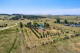 11783 Pine Meadows Dr, Kiowa, CO 80117 - Photo 29