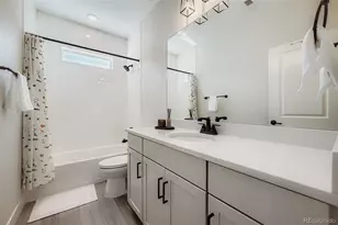 3391 N Haleyville Ct, Aurora, CO 80019 - Photo 29