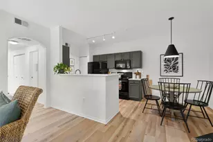 10733 Twenty Mile Road, Parker, CO 80134 - Photo 9