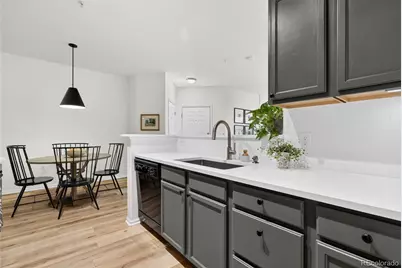 10733 Twenty Mile Road #208, Parker, CO 80134 - Photo 13