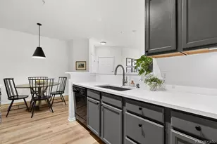 10733 Twenty Mile Road, Parker, CO 80134 - Photo 13