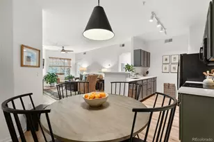 10733 Twenty Mile Road, Parker, CO 80134 - Photo 9