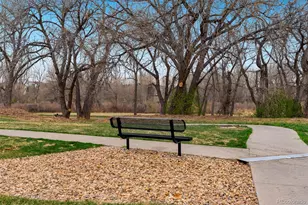 10733 Twenty Mile Road, Parker, CO 80134 - Photo 39