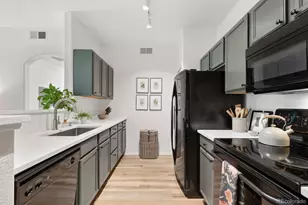 10733 Twenty Mile Road, Parker, CO 80134 - Photo 11