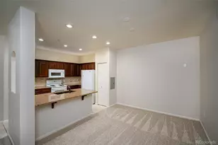 10751 Twenty Mile Road, Parker, CO 80134 - Photo 17