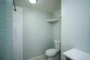 10751 Twenty Mile Road, Parker, CO 80134 - Photo 21