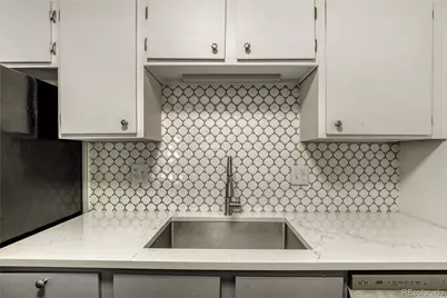 1313 N Williams Street #301, Denver, CO 80218 - Photo 11