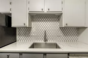 1313 N Williams St, Denver, CO 80218 - Photo 11