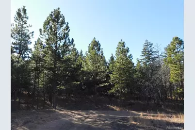 6294 Troon Court, Larkspur, CO 80118 - Photo 3