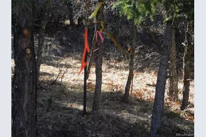 6294 Troon Court, Larkspur, CO 80118 - Photo 25