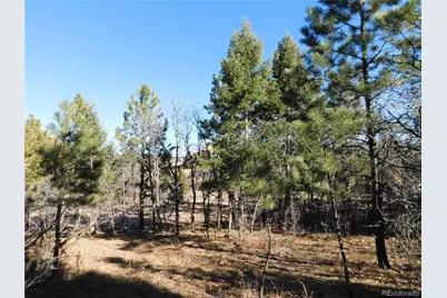 6294 Troon Court, Larkspur, CO 80118 - Photo 9