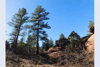 6294 Troon Court, Larkspur, CO 80118 - Photo 21