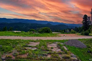 33888 Mineral Ln, Pine, CO 80470 - Photo 1