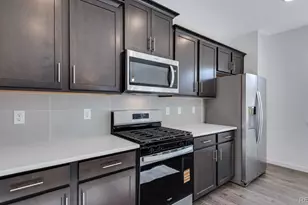 14254 Beebalm Ave, Parker, CO 80134 - Photo 13