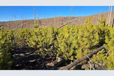 Lot 1505 Von Hyle Lane, Fort Garland, CO 81133 - Photo 3